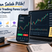 aplikasi-trading-forex-legal